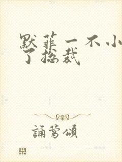 默菲一不小心嫁了总裁