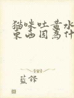 猫咪吐黄水不吃东西因为什么