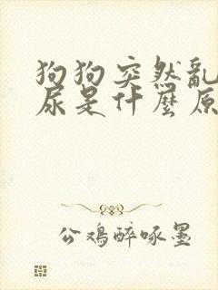 狗狗突然乱拉乱尿是什么原因