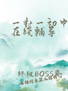 一对一初中数学在线辅导