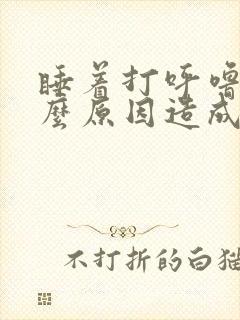 睡着打呼噜是什么原因造成的