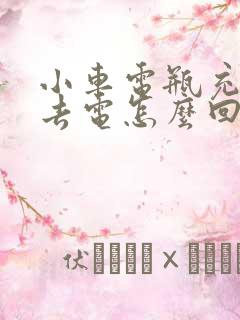 小车电瓶充不进去电怎么回事