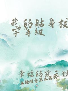 我的贴身校花唐宇等级