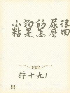 小狗的尿很黄还粘是怎么回事