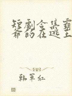 短剧合集霸道王爷的在逃王妃