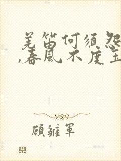 羌笛何须怨杨柳,春风不度玉门关的意思