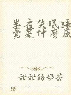 半夜失眠睡不着觉是什么原因呢