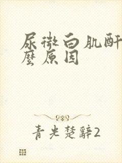 尿微白肌酐高什么原因