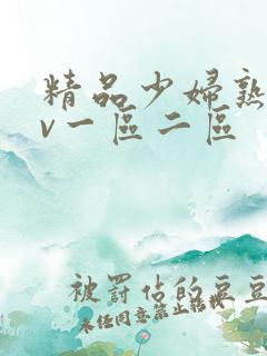 精品少妇熟女av一区二区