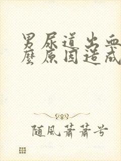 男尿道出血是什么原因造成的