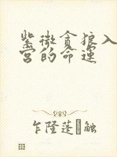 紫微贪狼入子女宫的命运