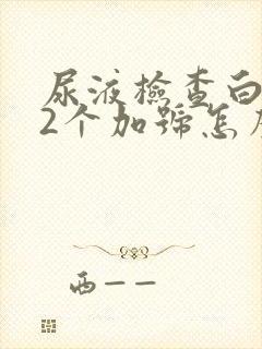 尿液检查白细胞2个加号怎么回事