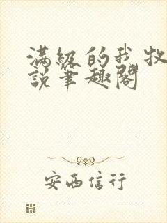 满级的我牧师小说笔趣阁