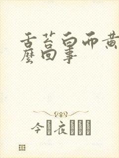 舌苔白而黄腻怎么回事