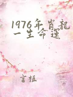1976年肖龙一生命运