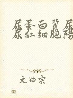 尿蛋白质尿隐血尿红细胞阳性