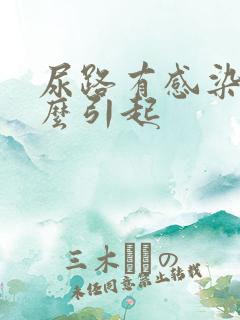 尿路有感染是怎么引起