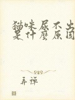 猫咪尿不出尿来是什么原因