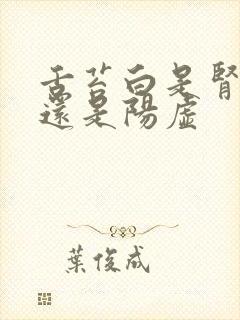 舌苔白是肾阴虚还是阳虚