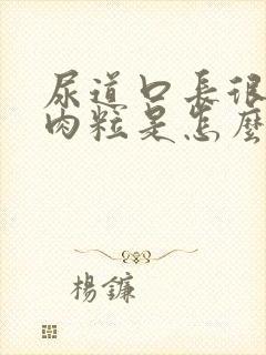 尿道口长很多小肉粒是怎么回事