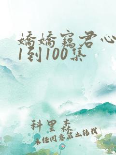 娇娇窃君心短剧1到100集