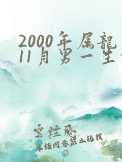 2000年属龙11月男一生命运