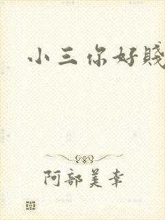 小三你好贱下载