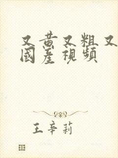 又黄又粗又爽的国产视频