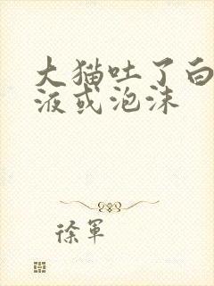 大猫吐了白色黏液或泡沫