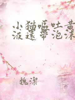 小猫呕吐黄色粘液还带泡沫不吃东西