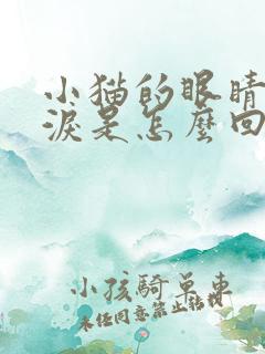 小猫的眼睛流眼泪是怎么回事儿啊