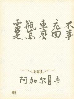 电瓶车充不进电是怎么回事