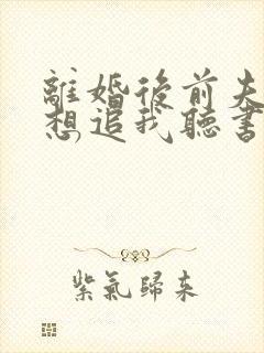 离婚后前夫总是想追我听书