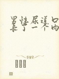 男性尿道口上面长了一个肉粒