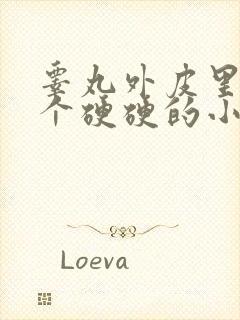 睾丸外皮里面有个硬硬的小疙瘩