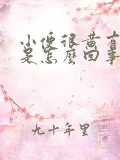 小便很黄有味道是怎么回事