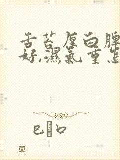 舌苔厚白脾胃不好,湿气重怎么调理