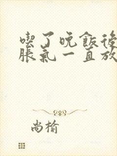 吃了晚饭后肚子胀气一直放屁