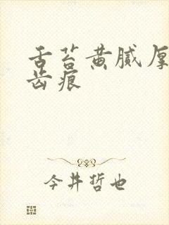 舌苔黄腻厚白有齿痕