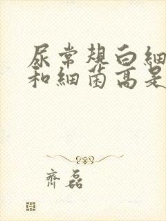 尿常规白细胞高和细菌高是什么原因