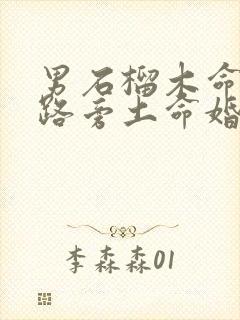 男石榴木命和女路旁土命婚配好吗