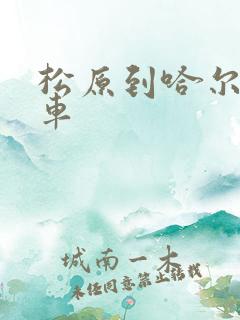 松原到哈尔滨客车