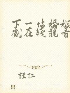 下一站婚姻电视剧在线观看完整版