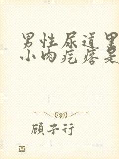 男性尿道里长个小肉疙瘩是怎么回事