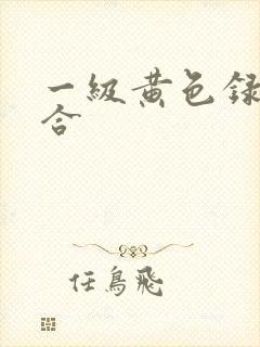 一级黄色录像a合
