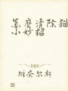 怎么清除猫尿味小妙招