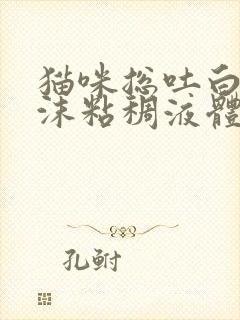 猫咪总吐白色泡沫粘稠液体怎么回事