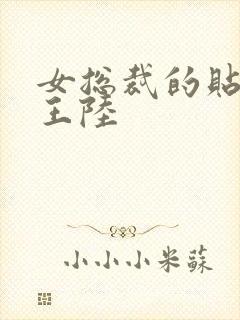 女总裁的贴身兵王陆