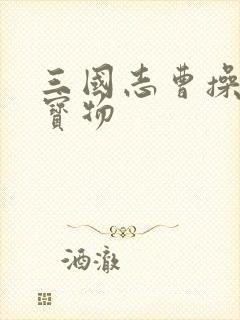 三国志曹操传全宝物