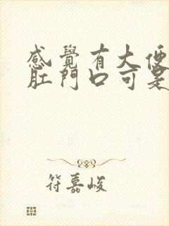 感觉有大便堵在肛门口可是又拉不出来